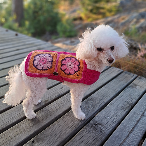 Bellis dog sweater