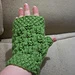 Flowers & Moss Mitts pattern 