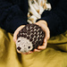 Scrap Yarn Hedgehog pattern 