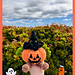 Pumpkin Witch Hat pattern