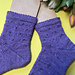 Cosmea Socks pattern 