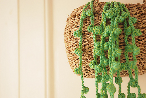 String of Pearls photo 4