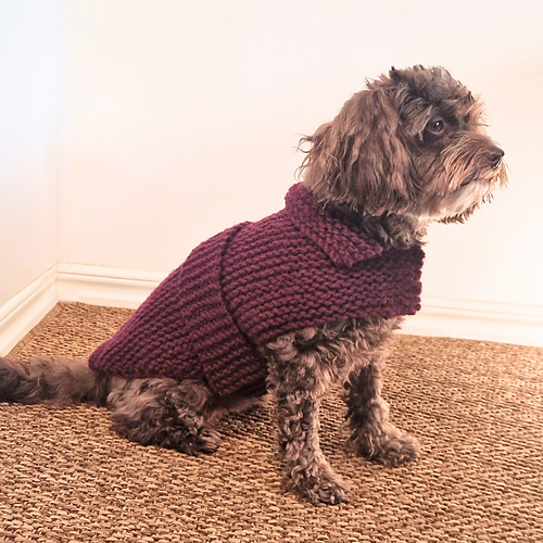 Belted Canine Cape