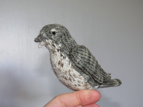 Songbird photo 10