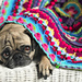 Sophie's Universe CAL photo 3