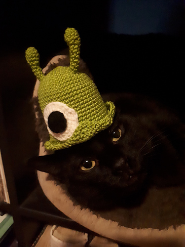 Brain Slug photo 2
