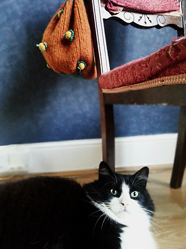 Dirigible Plums Bag photo 3