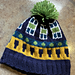 Colorful Pickleball Knit Hat pattern