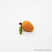 Small Mango photo 3