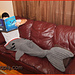 Adult Shark Blanket pattern 