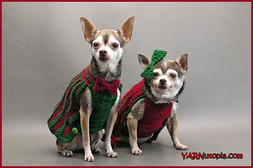 Bebe's Holiday Pet Sweater photo 2