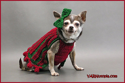 Bebe's Holiday Pet Sweater photo 1