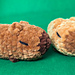 Calm Down Capybara pattern