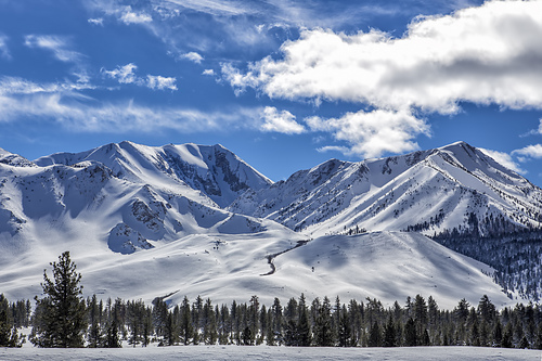 Mammoth Mountain Lue - Nancy Bates