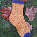 Fallen leaf socks pattern 