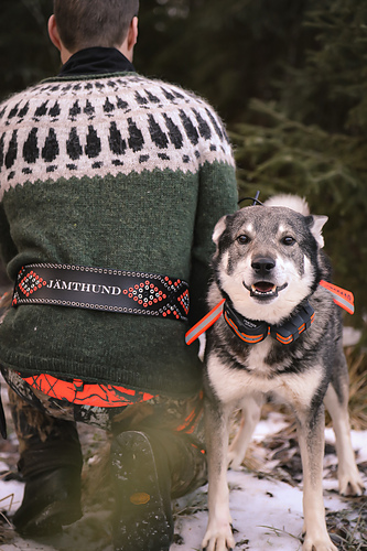 Sarve - Sara Jansson