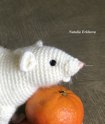 Realistisk rotte - Natalia Erkhova