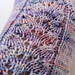 Petiole Socks pattern 
