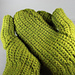 Saguaro Mittens pattern 