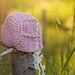 Peaceful Woodlands Bonnet pattern 