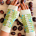 Enchanted Buds Mittens pattern