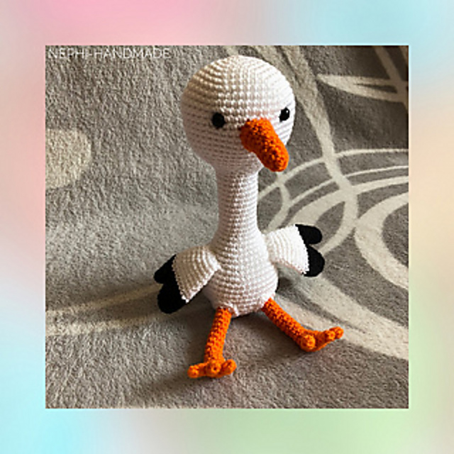 Storch