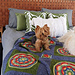 At the Rainbow Bridge CAL pattern 