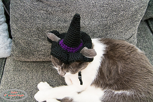 Cat's Witch Hat photo 4