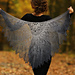 Wild Swan photo 4