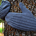 Templeton Mittens pattern 