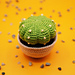 Sand dollar cactus pattern