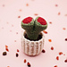 Stone cactus (Lithops) pattern
