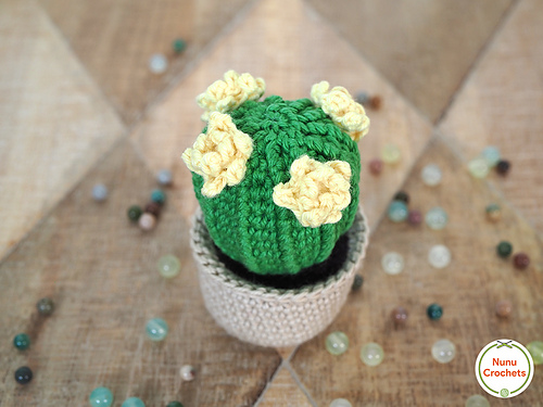 Barrelkaktus - Nuria Álvarez