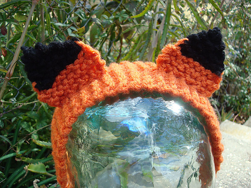 Feeling Foxy photo 4
