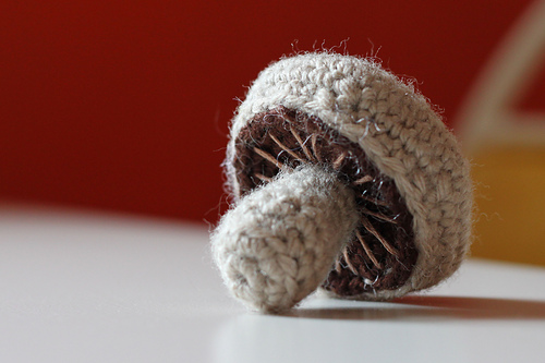 Mushroom photo 6