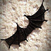 Small bat black wings pattern
