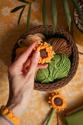 Sunflower photo 2