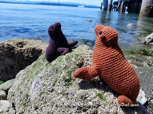 Olympia Sjøløve Amigurumi - Charissa Gascho