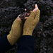 Trefoil Fingerless Mittens pattern