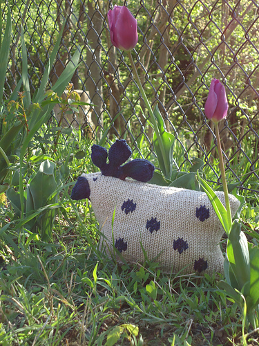 Le Poulet photo 5