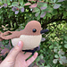 Nightingale pattern 
