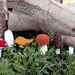 Mushrooms and toadstools pattern 
