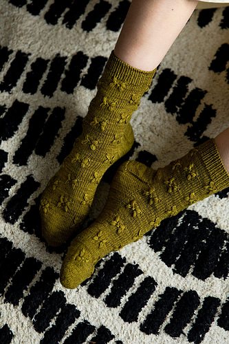 Caliandra - Paula Pereira