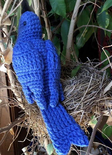 Mountain Bluebird crochet pattern by Payton Sage