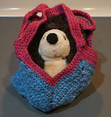 2 year old bag - with a hedgehog inside to show how small it is.  She loved it.  It was just the right size.