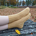 Autumn Honey Socks pattern 