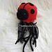 Ladybird Jelly Friend pattern 