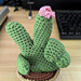 Middle Finger Cactus pattern