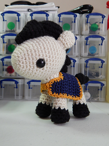 Pony Blanket photo 2