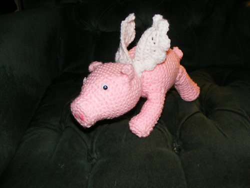 Cu-Pig photo 1